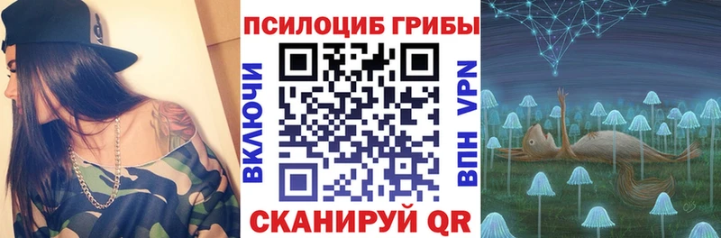 Купить где  Новоуральск  Галлюциногенные грибы мицелий 